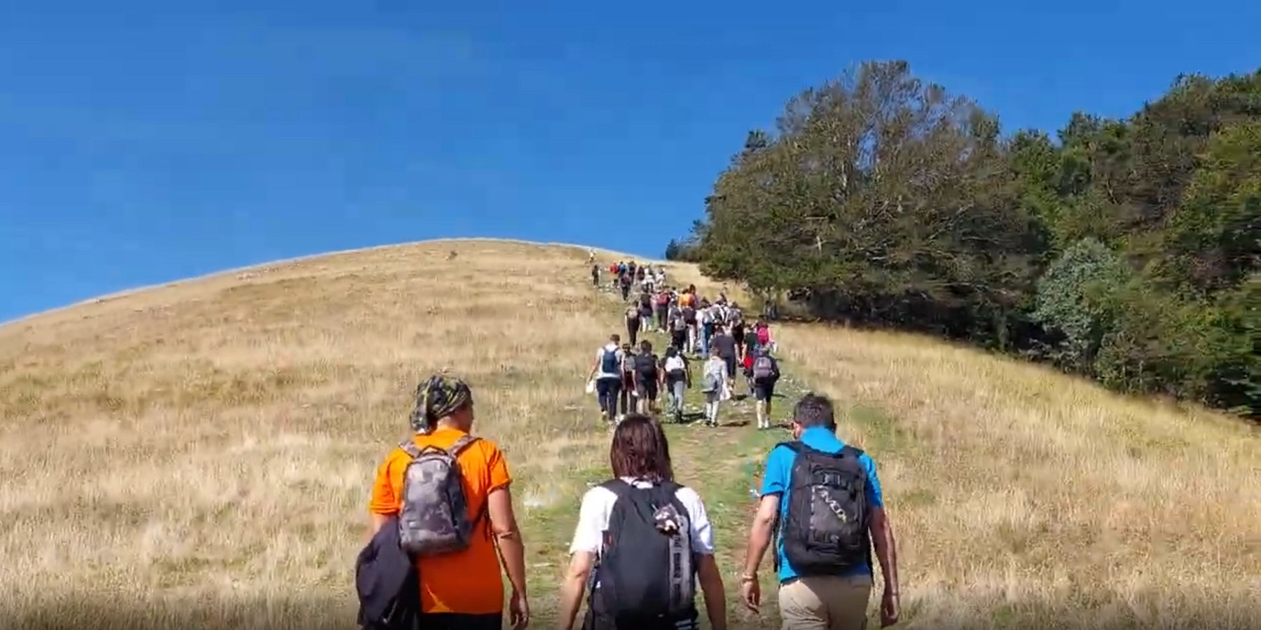 Osservazione - Monte Cardito