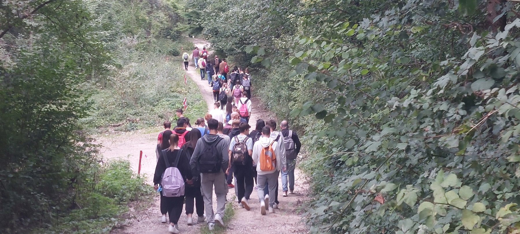 Trekking