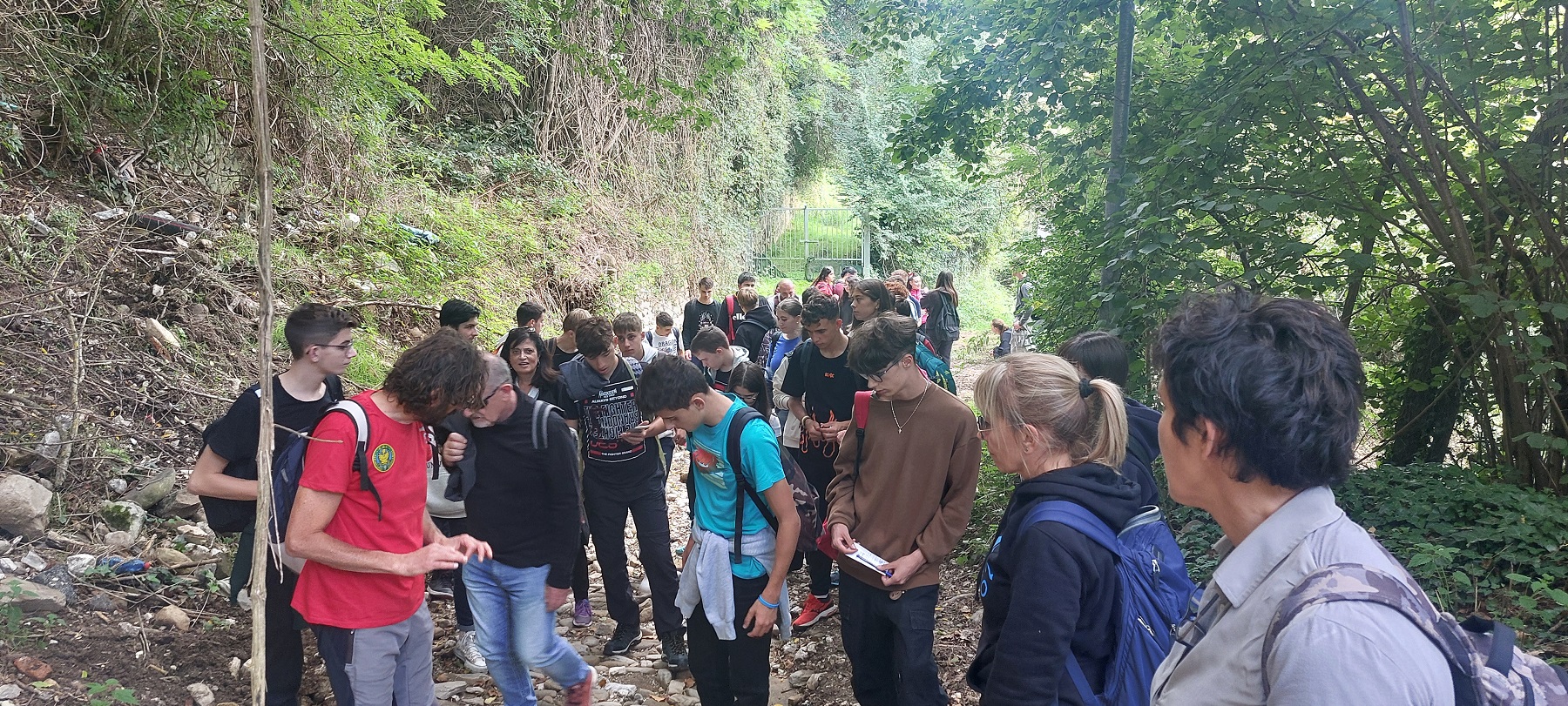 Osservazione